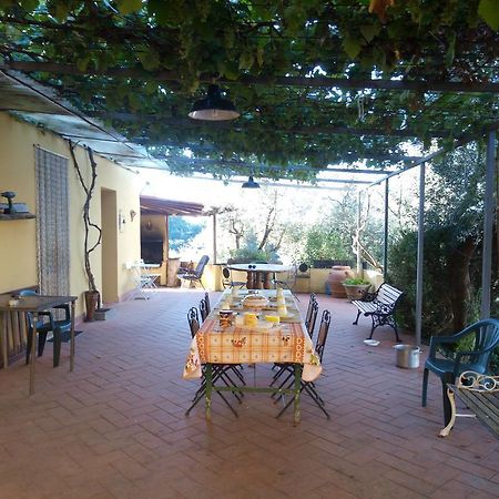 Agriturismo Il Cavallone Villa Montelupo Fiorentino Bagian luar foto