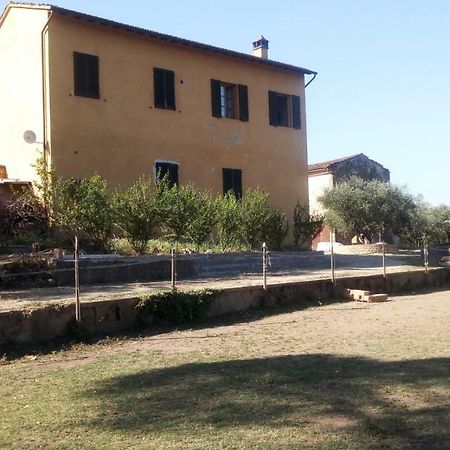 Agriturismo Il Cavallone Villa Montelupo Fiorentino Bagian luar foto