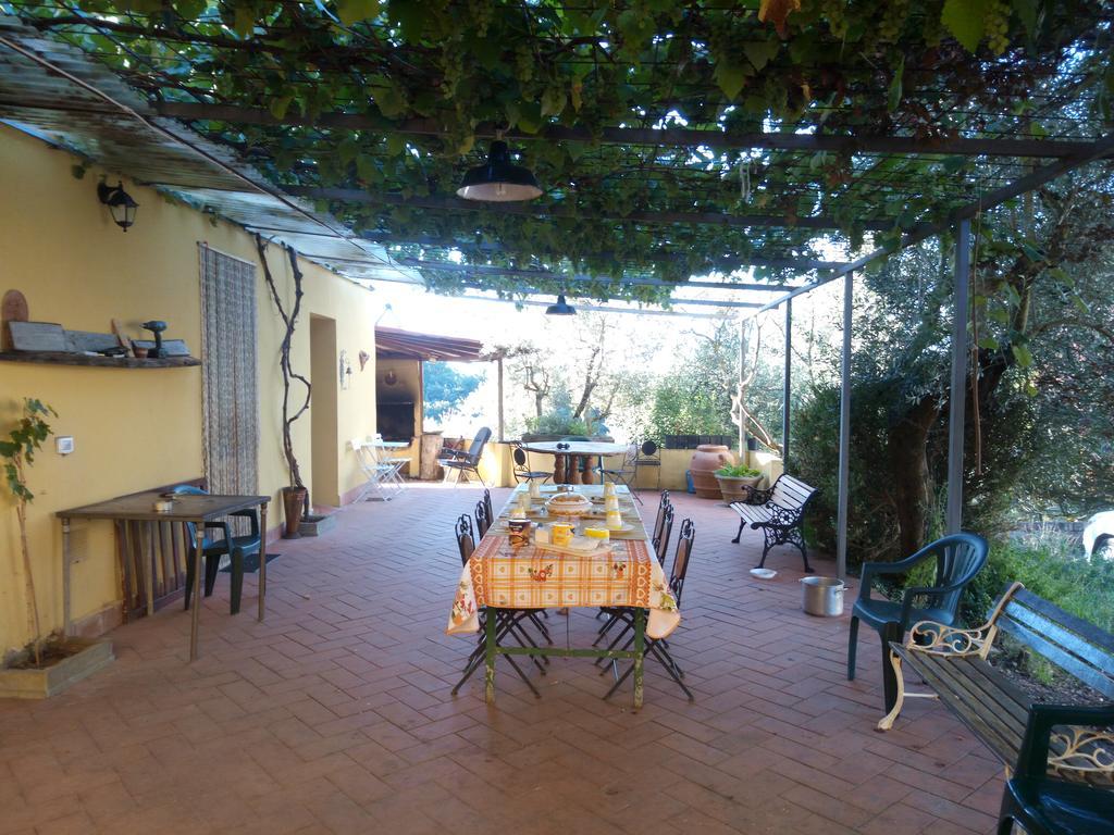 Agriturismo Il Cavallone Villa Montelupo Fiorentino Bagian luar foto
